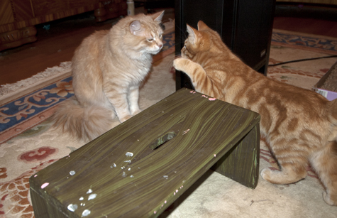 Blitz and Chester.jpg
