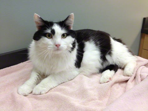 10.9.12 at vet.jpg