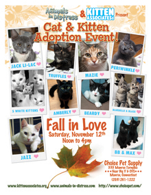 11.12.11 Event at Choice_web_thumb.jpg