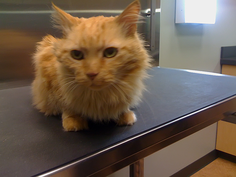 12.3.10 at vet_sm.jpg