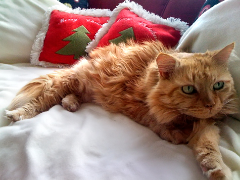 2009 Bob on electric blanket sm.jpg