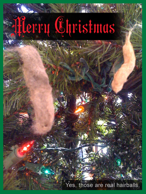 2009 Xmas copy.jpg