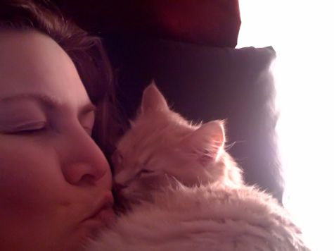 2.26.10 kiss blitz.jpg