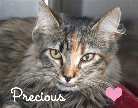 AC 11.10.10 142 precious.jpg