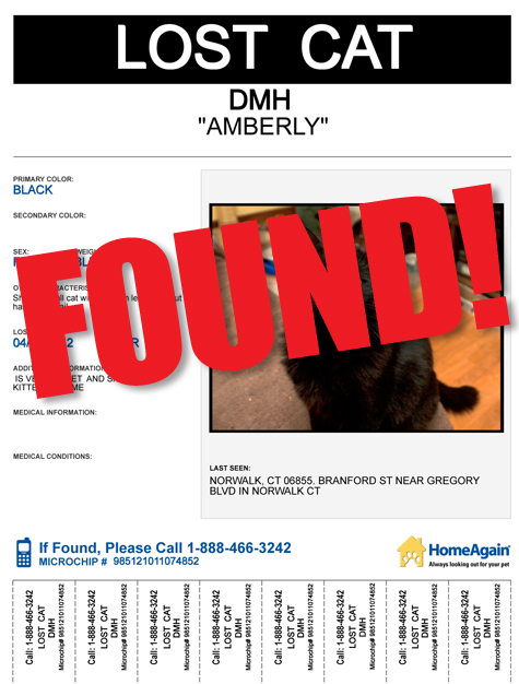 AMBERLY poster FOUND.jpg