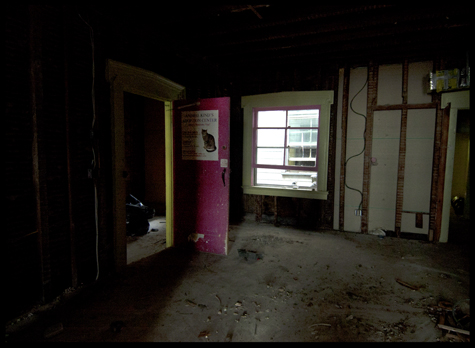 Adoption Center Ruind Olson.jpg