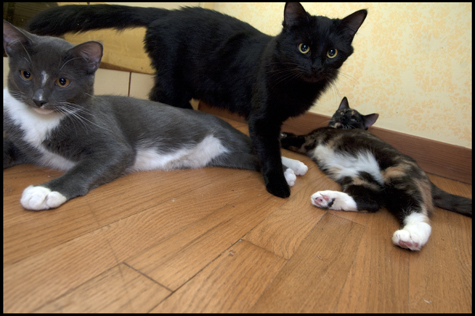 Amberly Minding the Kids.jpg