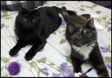 Amberly and Truffles.jpg