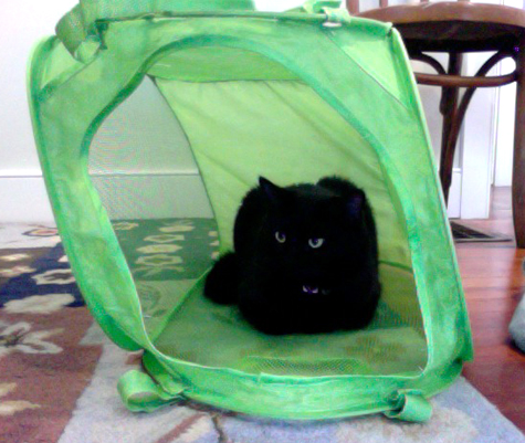 Amberly in cube.jpg