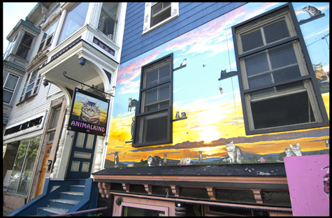 AnimalKind Exterior Olson.jpg