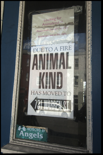 AnimalKind Fire Sign Olson.jpg
