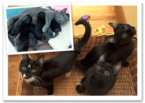 April and Family before and after.jpg
