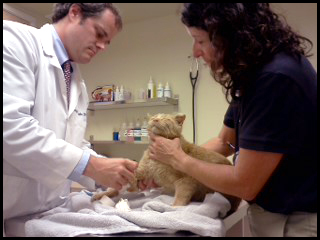 At Vet in Catskill.jpg