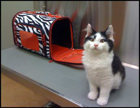 At vet with Dood_sm.jpg