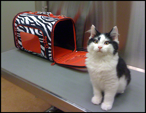 At vet with Dood_sm.jpg