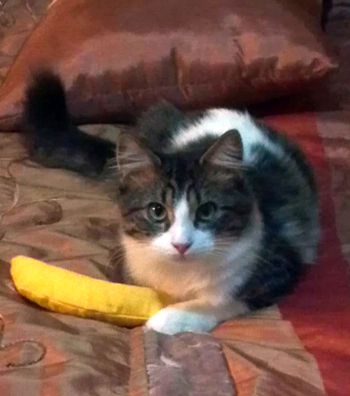 Banana Boy.jpg