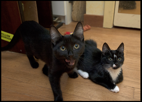 Beauty and Brini.jpg