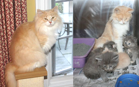 Before and After copy.jpg