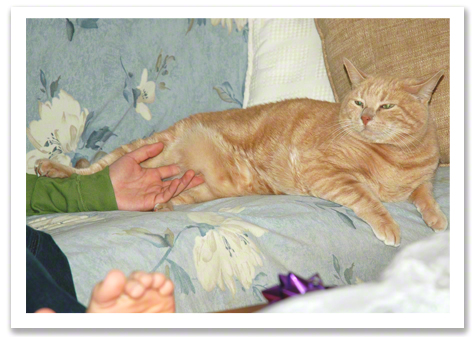 Belly Rub for Oliver R.Olson.jpg