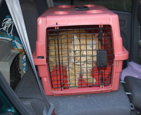 Big O in transit_sm.jpg