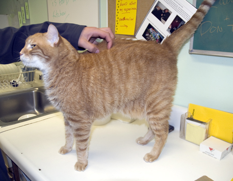 Big Red.jpg
