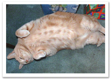 Biggest Belly 2005 R Olson.jpg