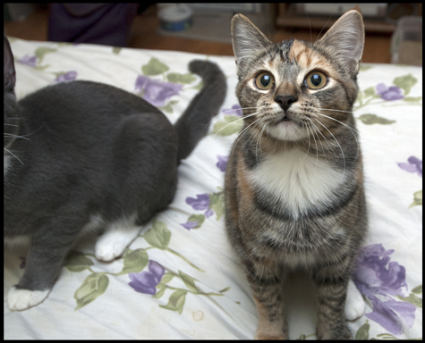Blazey with Jack.jpg