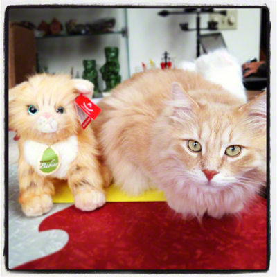 Blitzen and Plush.jpg