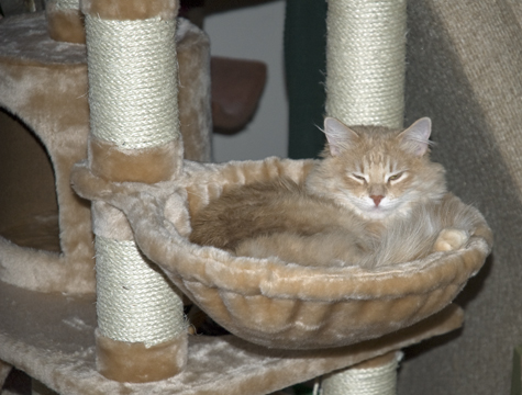 Bloopie in the bucket copy.jpg