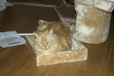 Bob Helping.jpg