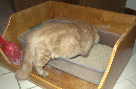 Bob Sniffing.jpg