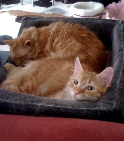 Bob and Mac copy.jpg
