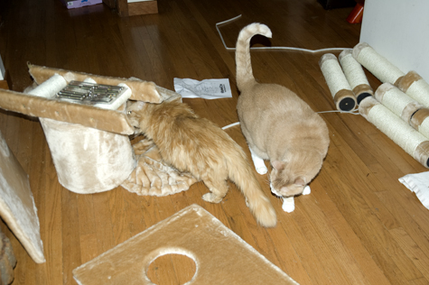 Bob and Nicky inspecting.jpg