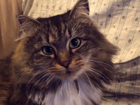Bobbi Portrait_Sm.jpg