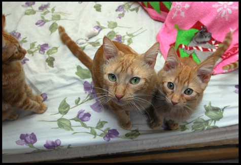 Bobette and Teddy.jpg