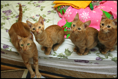 Bobette and the Boys.jpg