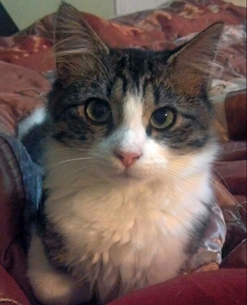 Bongo Portrait.jpg