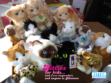 Box of Plush 12.24 R.Olson.jpg