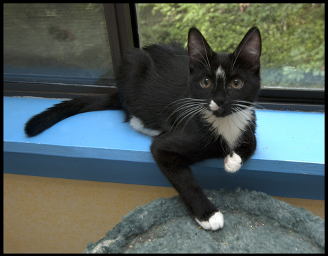 Brini by the window.jpg