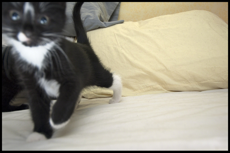 Brini takes a stroll.jpg