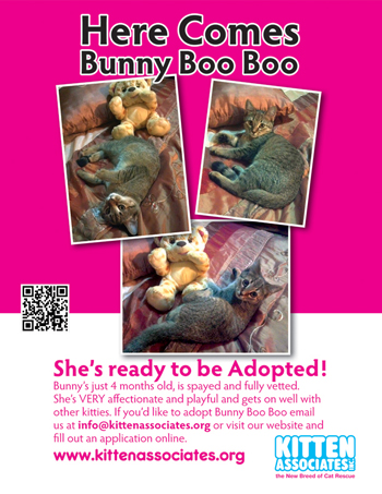 Bunny BooBoo Flyer sm.jpg