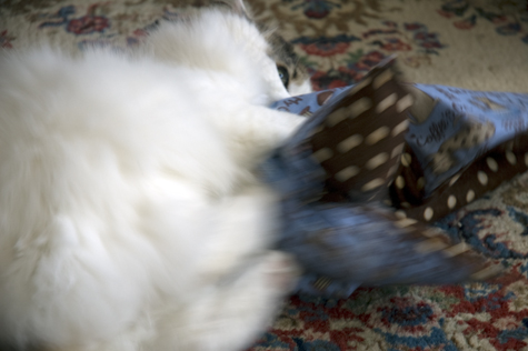 Bunny Kick It.jpg