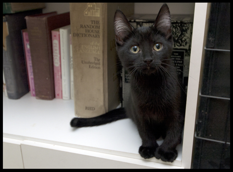 By the books copy.jpg
