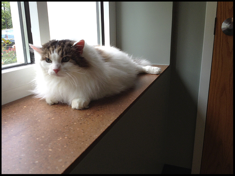 By the window.jpg