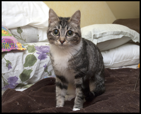 Cara on the Bed.jpg