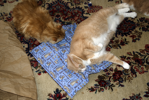 Cat Mat Fun 2.jpg