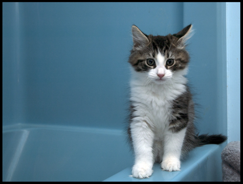 Charly on Tub.jpg
