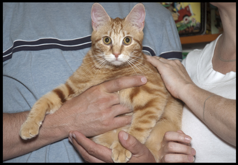 Chester and Family.jpg