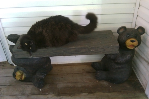 Choco and da bear.jpg