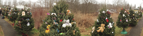 Christmas Tree Pano.jpg